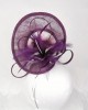 Fascinator