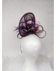 Fascinator
