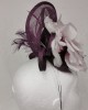 Fascinator