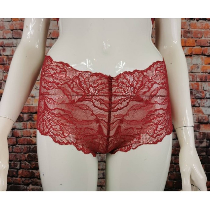 Red lace Sexy Lingerie Set