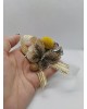 Wrist Corsage Gold 3D Lace Butterfly with Gold & Yellow Decoration
